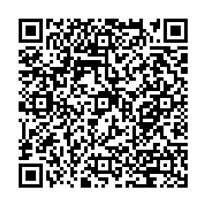 表 3 新农保与居民消费（工具变量方法）