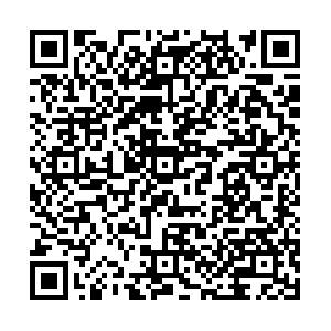本文系极速百家家乐app新手怎么玩部